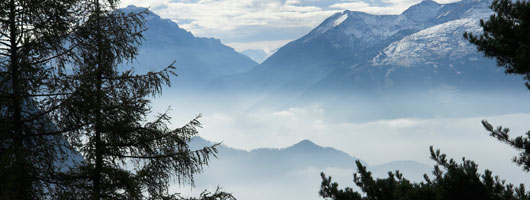 cc攻击免费网页版