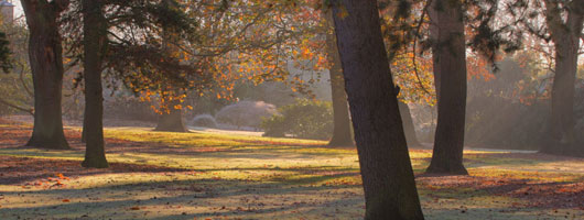 ddos攻击ip软件下载