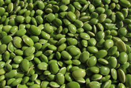 激活市场稳定的自动攻击网站工具下载